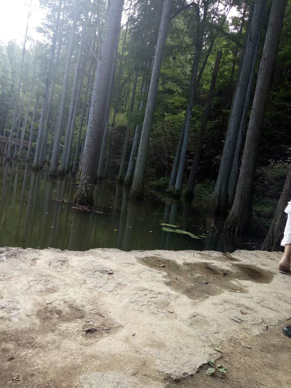 1MS71mdzaF4jKavkQl-Aa6VdQMPyvOvhbmwvakpvOnaGNXu4j_x-c_R8P4frOG8m