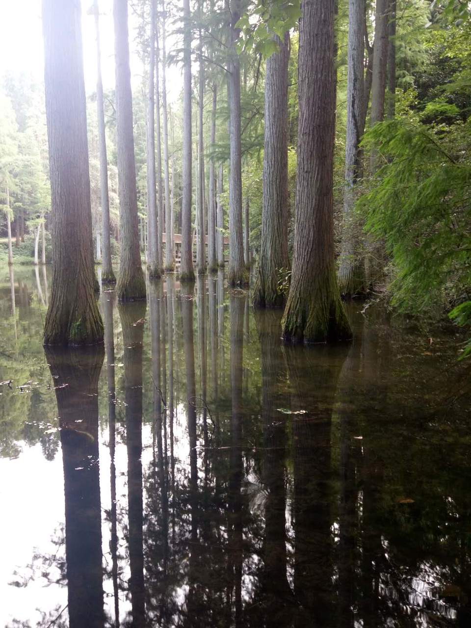 OSvdxF4872kbsm7-iouifpetHp37glk_NcZj8asqvVGdUxQKlUoQ84KlxBFvAAyv