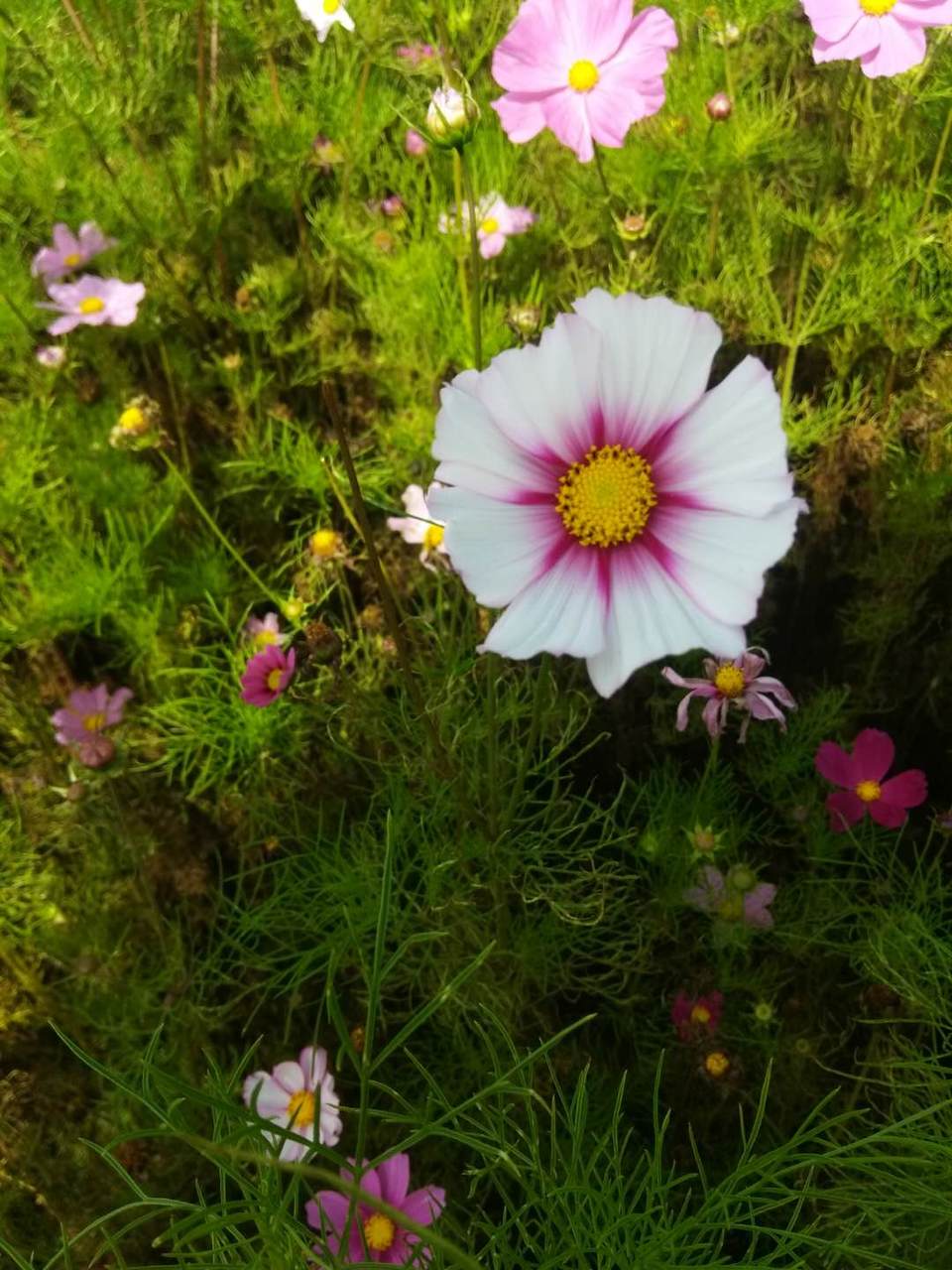 zkItjbYuDtc11KQweUXUZZ2aF6U_rS1tmWxke0Honr44c4fCbiYBA4ppVYCaFKkg