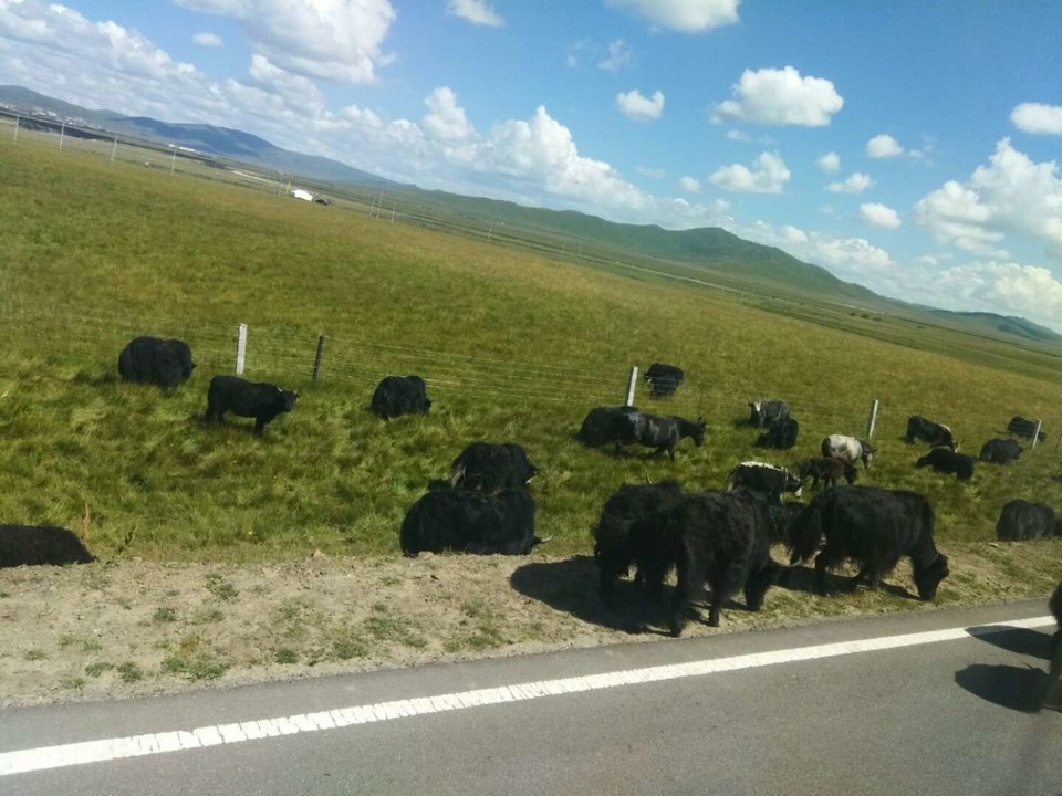 rDTLUpQe1RB-aecxg3dLBwulmCkV8HoWQ8lks5Orz3sosfralfdPg9chCubPGD0z