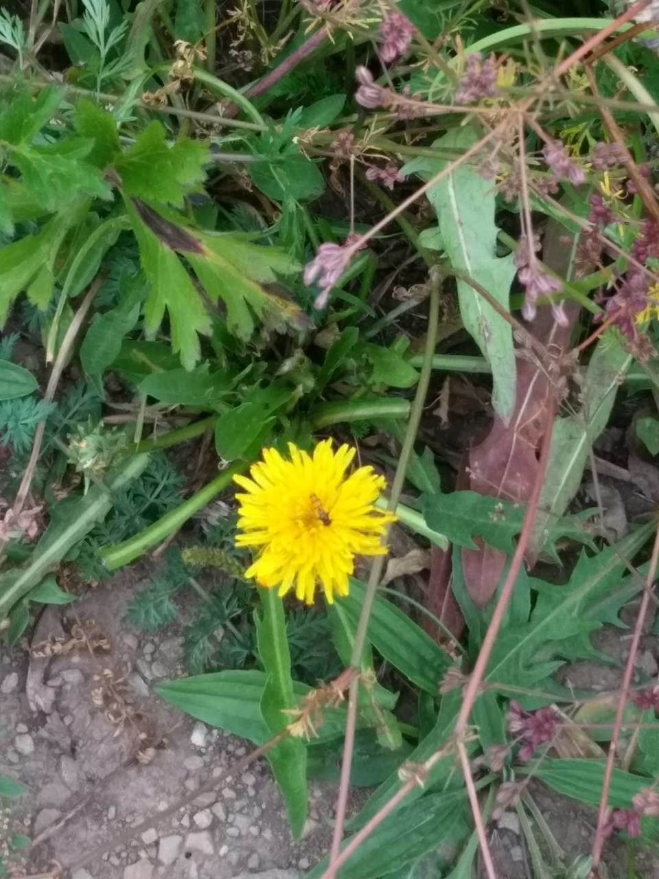 nyZP349nzw3YTsfYyLnXlkQB8IDRZFLait0tvMUFGSS1duCeLvIO8QQlH_tVMKc5