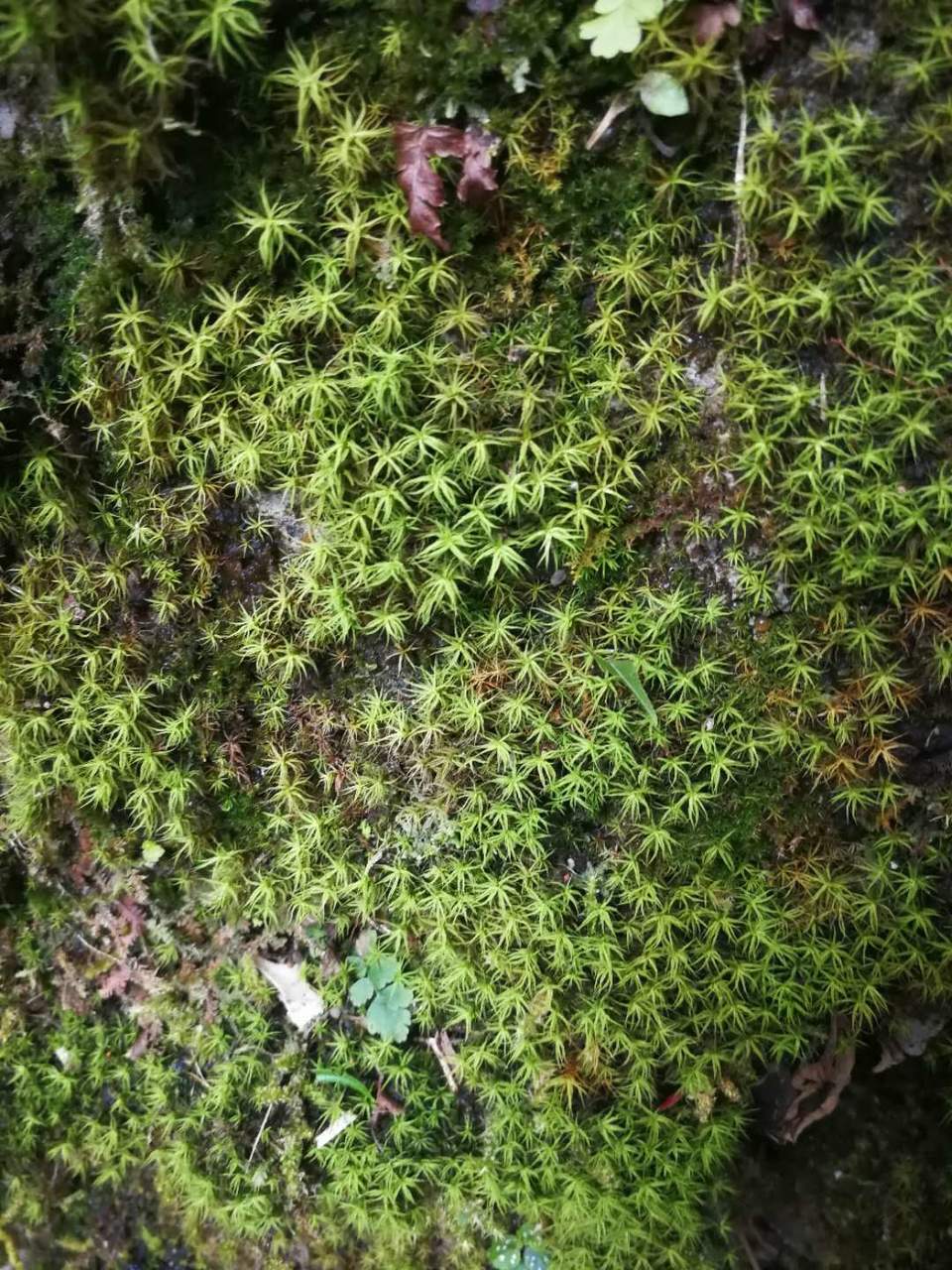 yR4m7HTb0Cv3SqaZrckMwZC52mLJUuJtYApIQkcIKR6biv_aJCKthjYmyNRh9b7e