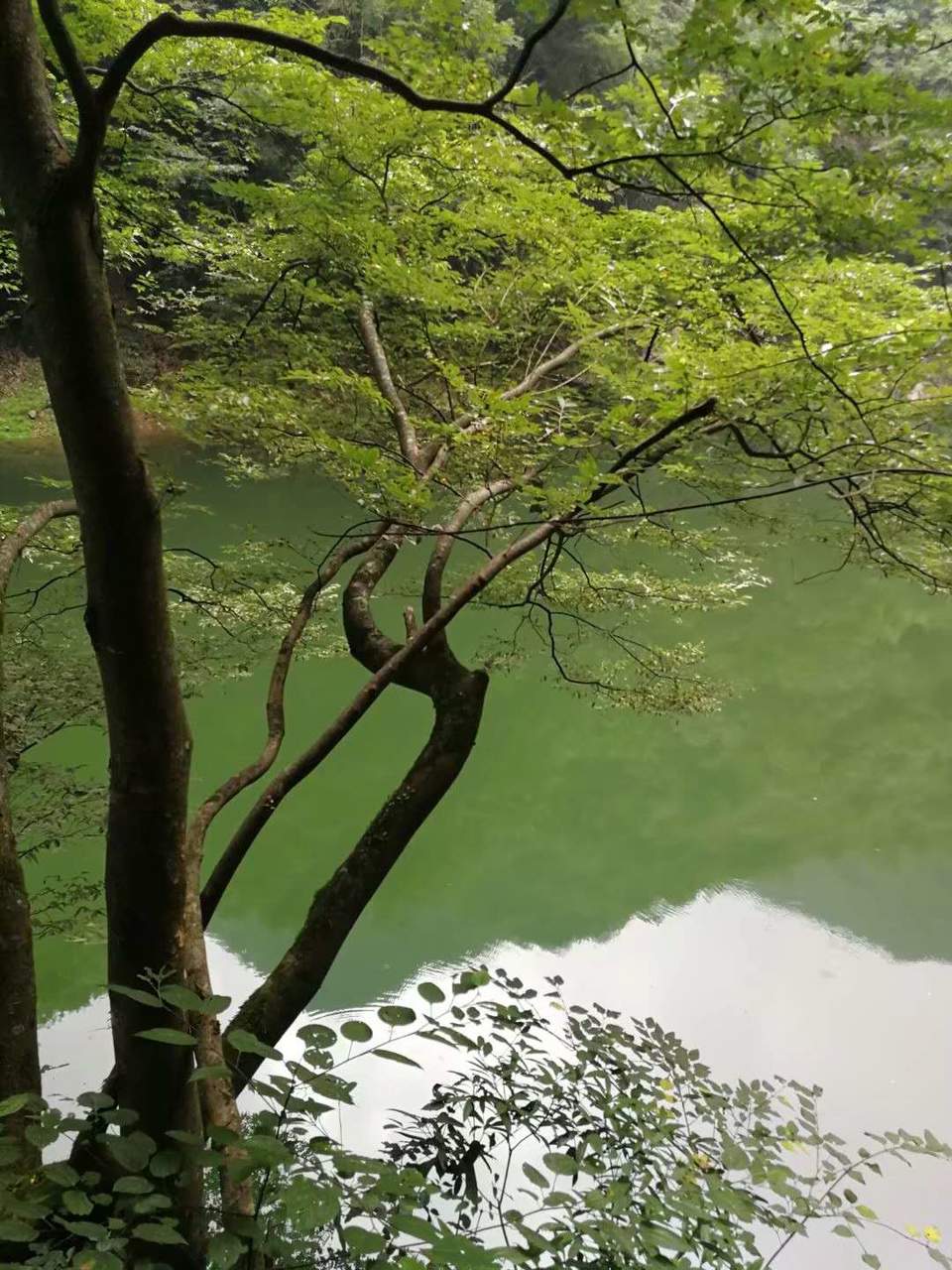 7qu3l700m-yxrI-0LSolGHnPfrE0s0tFt7pK_JA57B81F7iq-PJjg9TiGmv5SS5C