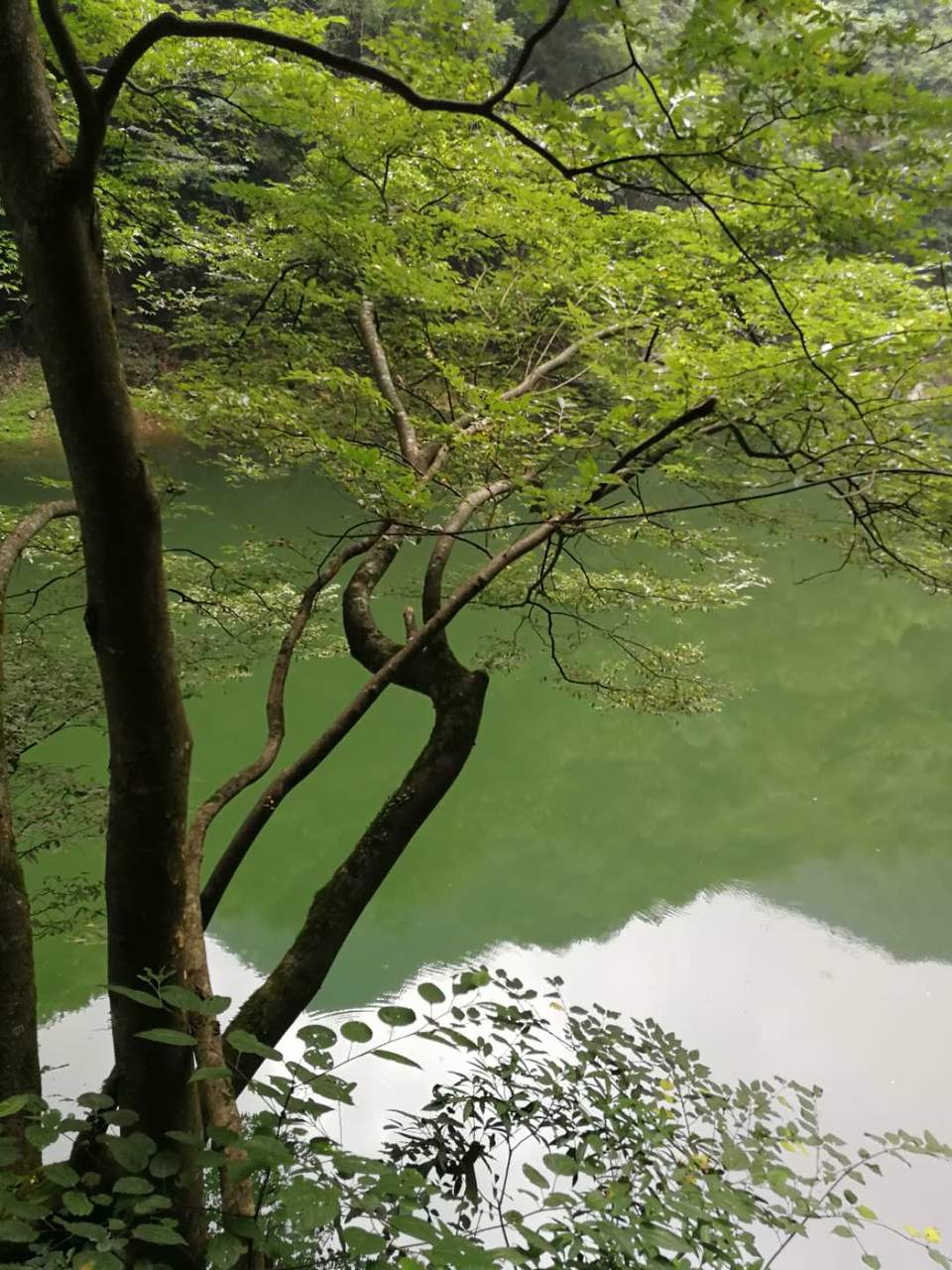 c4L6woLNsvrUXyHQze9qrQEcj-HQ_BXa8UCK9Os6l1fPz3sr2hytH4SF9qIlLIsY