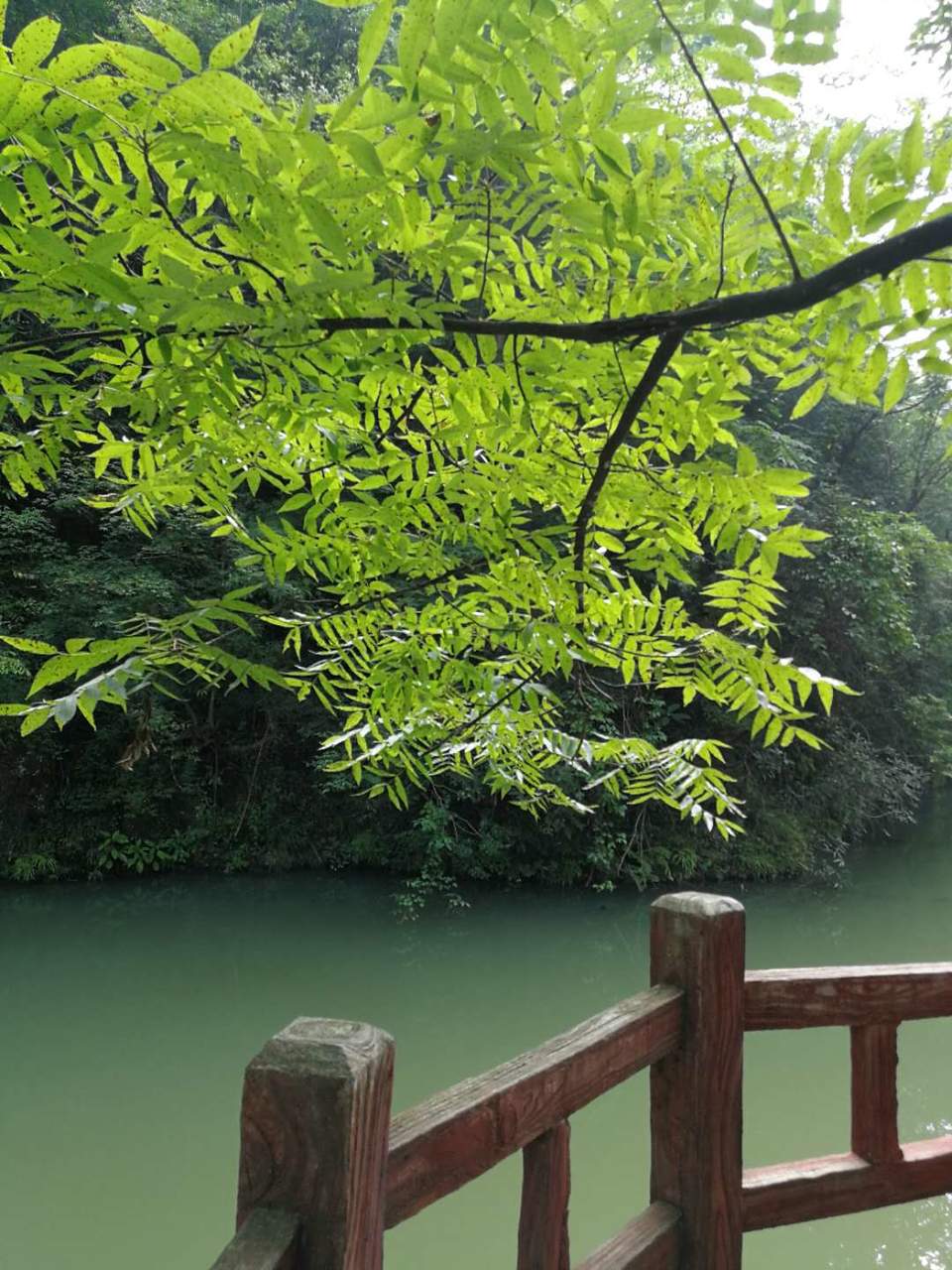 poluKSE4qhFoFh9AkzwSvtkWub8WAUdSRoR6k7gYI0rYUQ-tWp4yIrlw2xq9v6ol