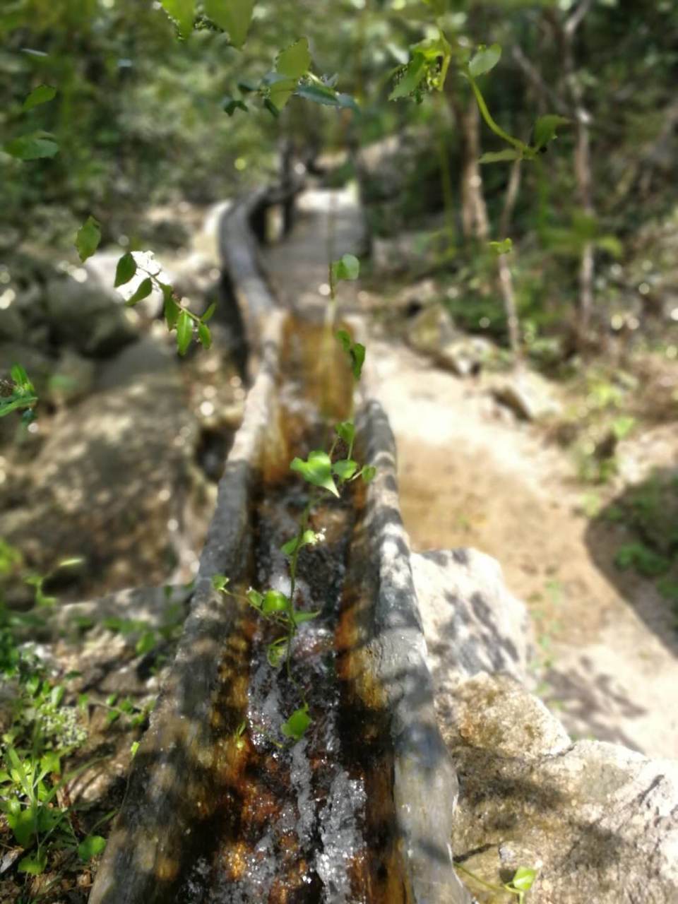 uqIIEbGap1nsjMzVY9gTqVZXfUpq34wszbqXqARJ5qcL21fX5fF6_4afmV837u2m