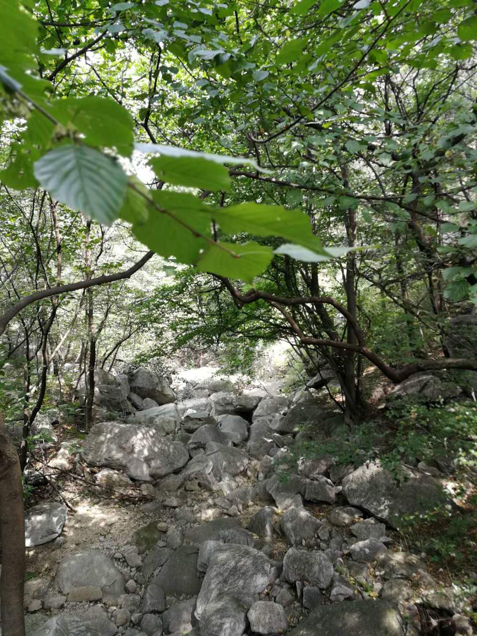 Y4-9J07fAG0cxVHdhk1DS4a6HVSa6OK6LbvwXehp3rL5oMdmK2hH767Qa5NhA086