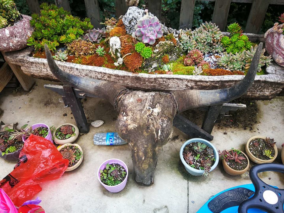 j5ALpm5182q6TQFZ8f8Bi0KBwByKWg9svKnCGLQa4YlzhYfhAzMZuyLiqPN8is1J