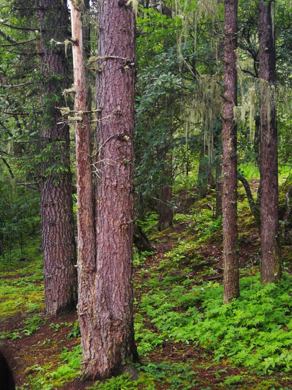 rXAlV1RWNsb3x4xzyyU82yrTzwsIgsg4yD0i_KXze4ok42nEVsNwkKp_A93SWiwD