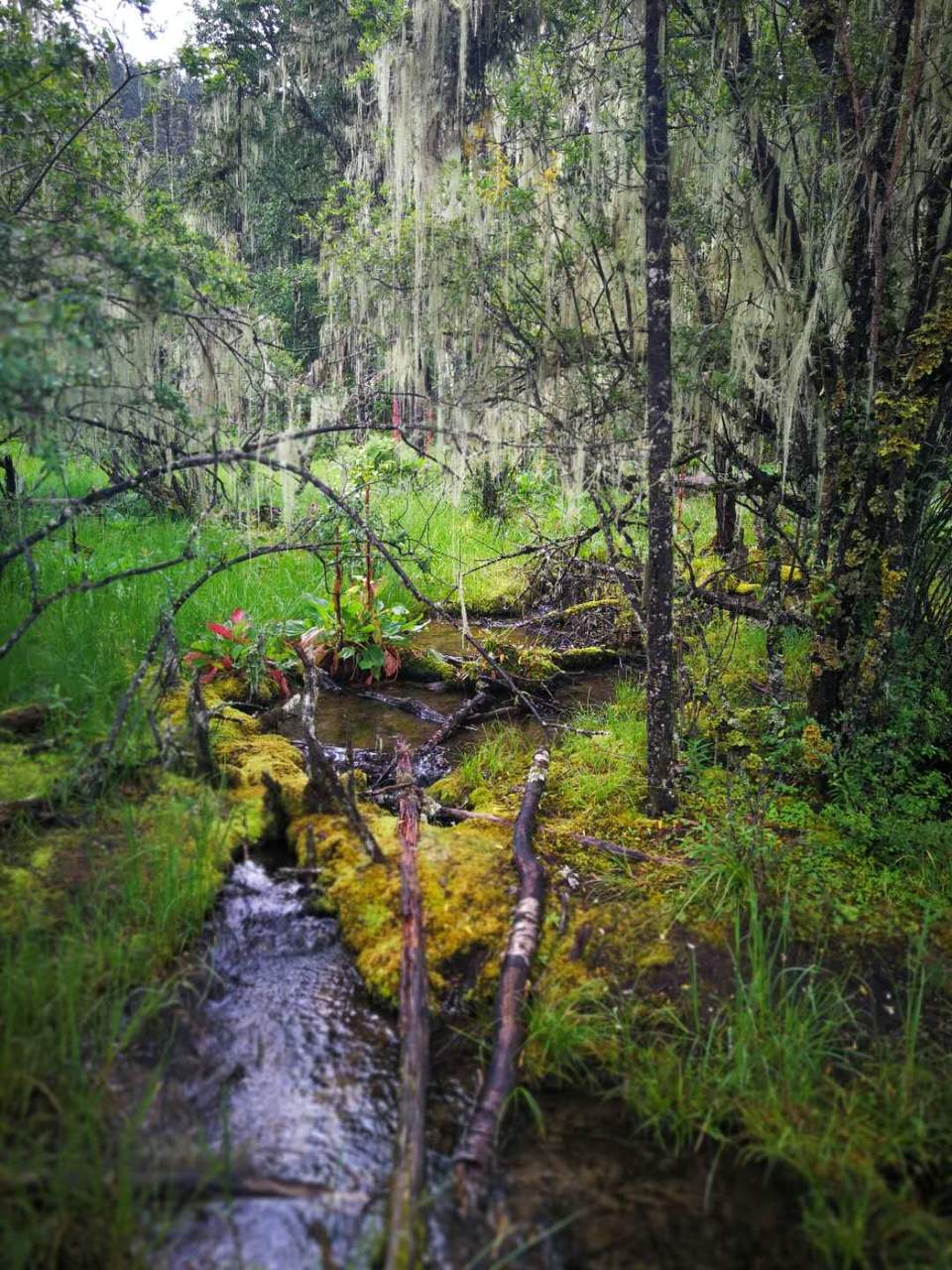 2UEFGgIi2cWxCRY6Xu1ZRTks63XimFK_D3gXfhrPoA-g_OYCpri7AZ_txBH4d1Ua