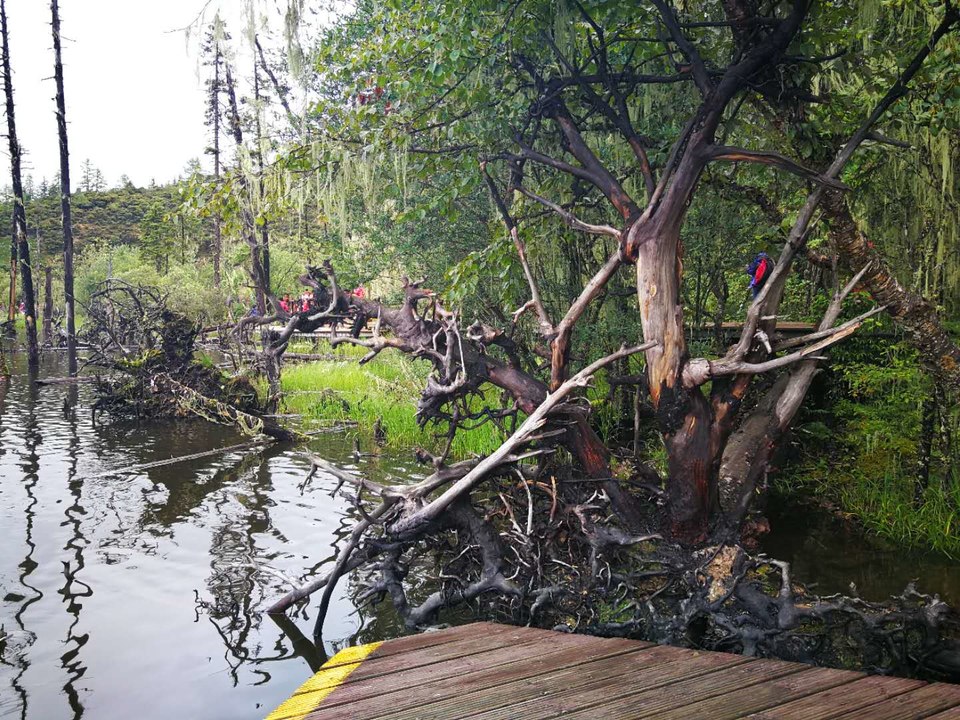 9B26pnTxm-BGyFD8DvwontghrFbp2GvJBjNbCrTiaeG-NJ99ktUn_90znROLqX-S