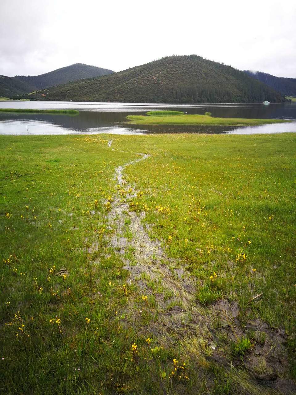 UNLxg-e-_rsSRdlrWCQXDqbH9K-HqW5g-f-uSe5fG4ObnfR1L1Om8KxDt1FJvF4T