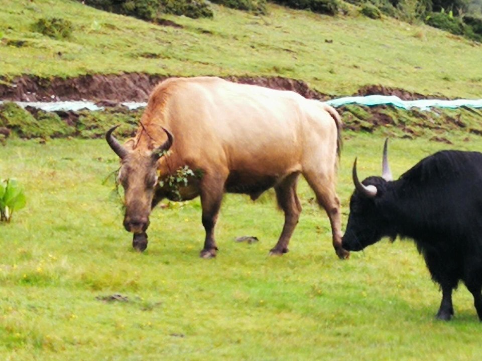 4Mw2D72oNUJIIgEMevTTyrvQocXHmyzAFfy1pzri0T7sjRRpenBrnNhEE7La1_E3