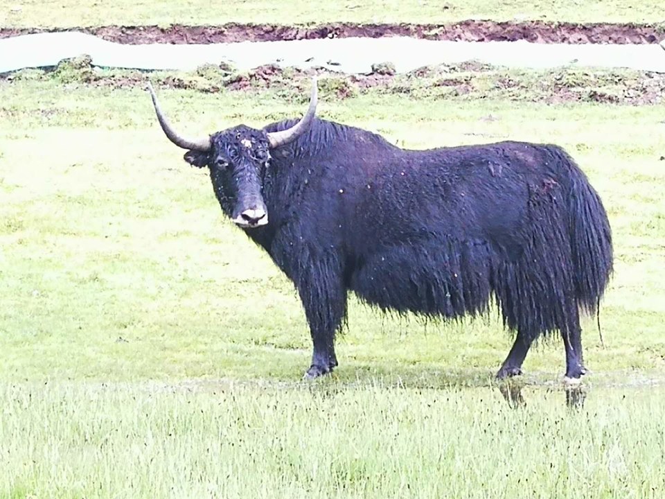 D5BSneeqinbqYdaA8pLkzVPSkUvB-9M1zMKfYTBpKDRotGzurzLqnNXeiFbjqYgp