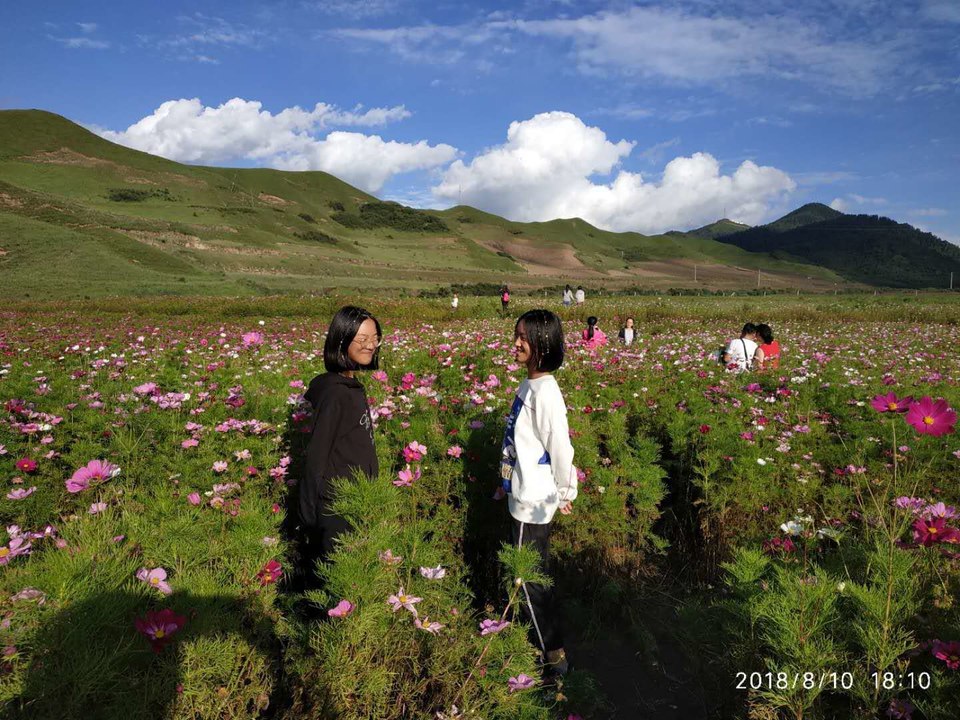 2xOSwrinmovexwkTmK694wGhf5VkRMjlYUTZPMusoemD13D0cpM8UC5e2bIx4LKo