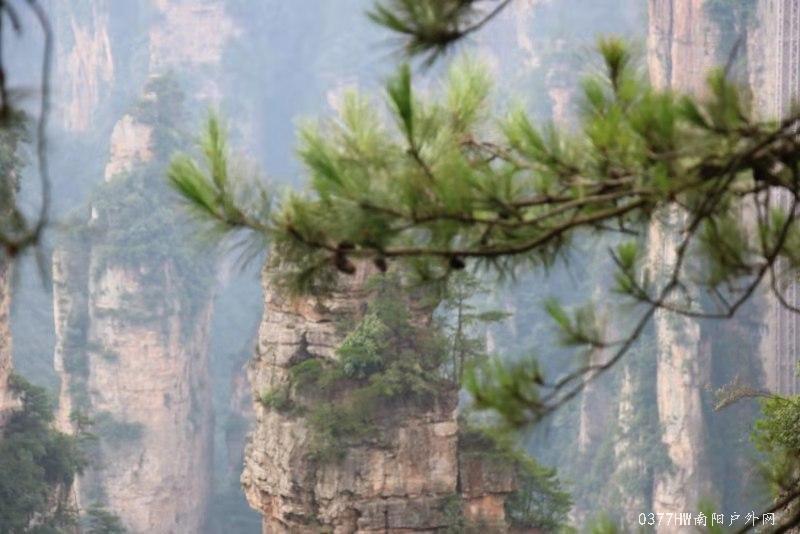 GJFcCPgazhbAal9hjgBgh_dB6Kog26SQiT4PEMwQ5NwtaI_hoGwrzEz8obnJjbsQ