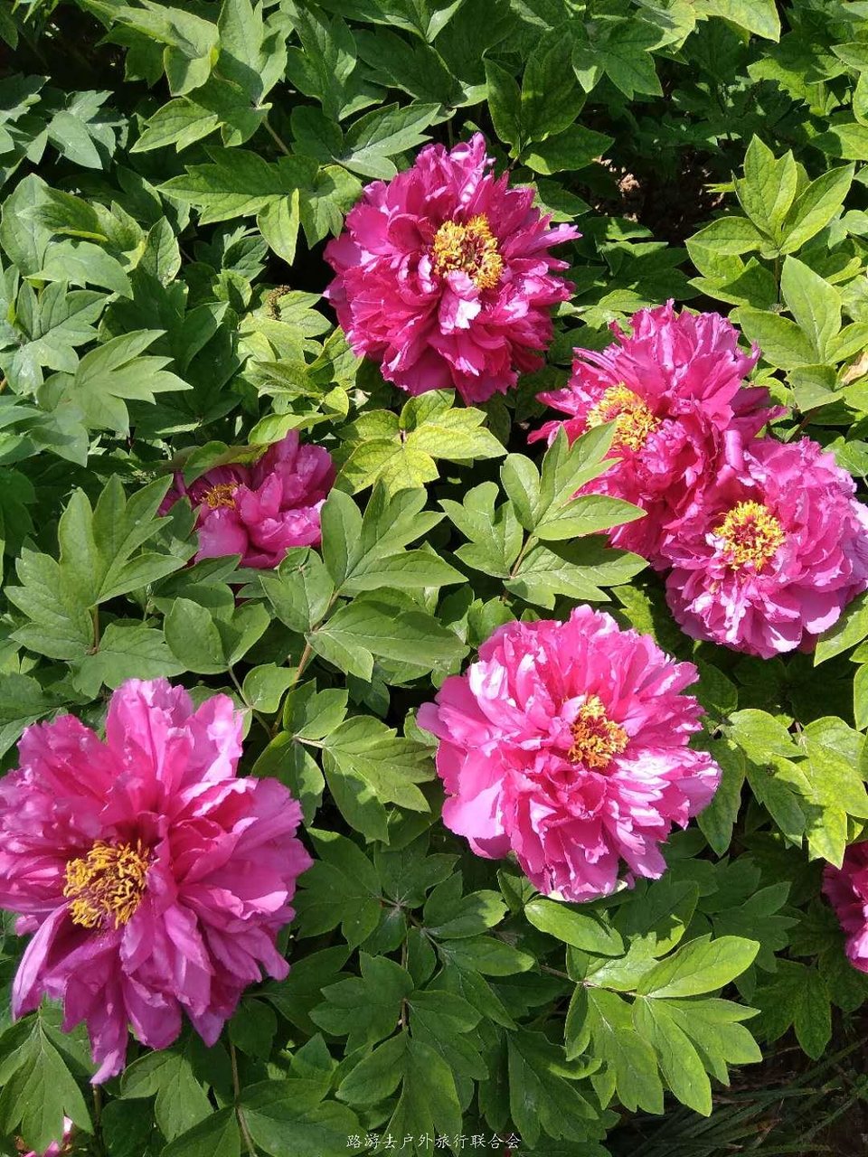 mqrVdhEwA64S_a6ruUhMjVb4d2m2f9PnBoSALGD2KtAW2HTemAM4OprCJuQHj62Q