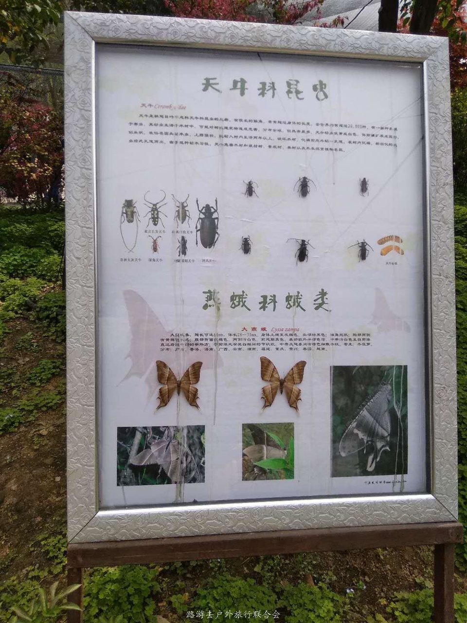 D5BSneeqinbqYdaA8pLkzUzY4ffet33G5xY9BMQ2o6DmJLStoQTNMV06oYTw9Nb2