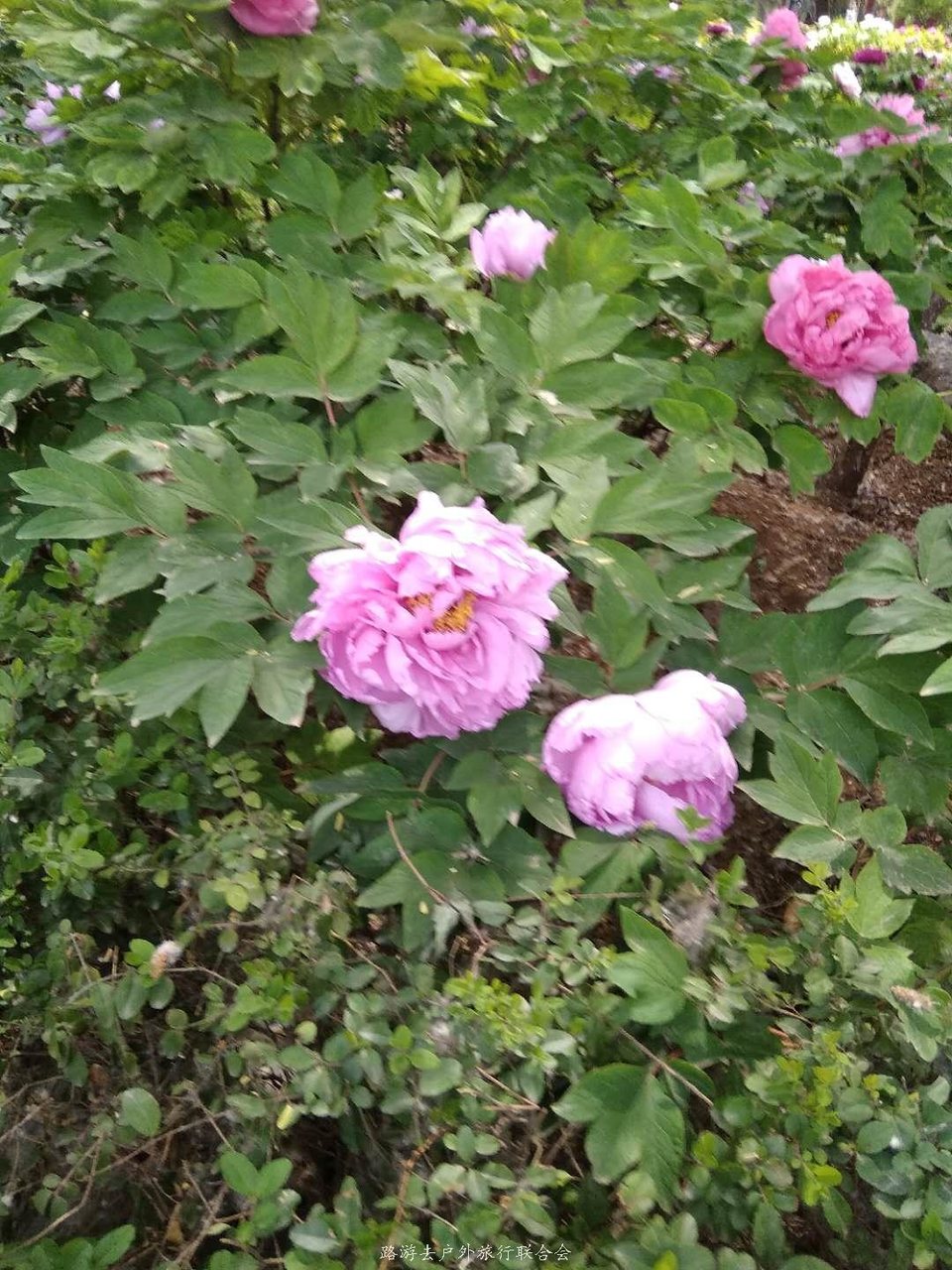 JZlhfFcuL0E2KcFvnouVqsclQMdX4HKt4iXibYCV9zM0X-wvuEVsmJQmISY-KVIK