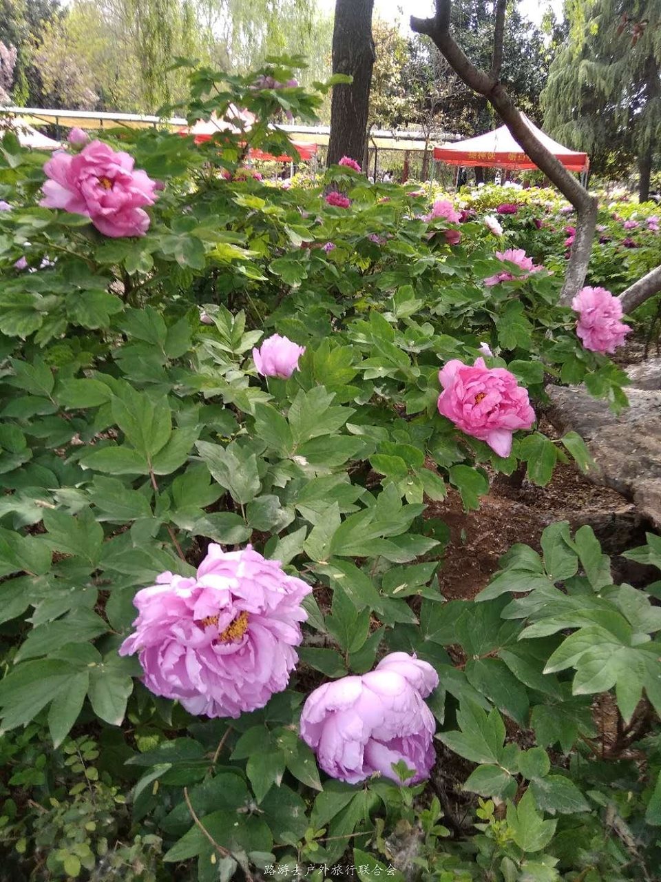 GIXKVvvEUD0CDLtdLQ_SaVUt4aF4E7dzx-PAwsKchqT47IVkTznEPstMzMhte4RL