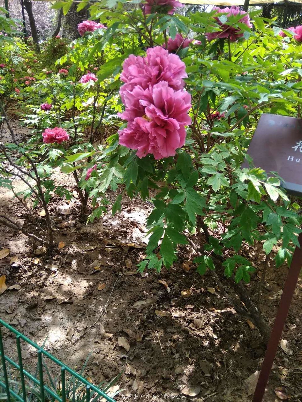 Z4MgbuRITIpxP23NJ7bEvfSf1qTY7oX__zQdIc6Xm2I5F6_iVreY8Jxx7qvyZrmK