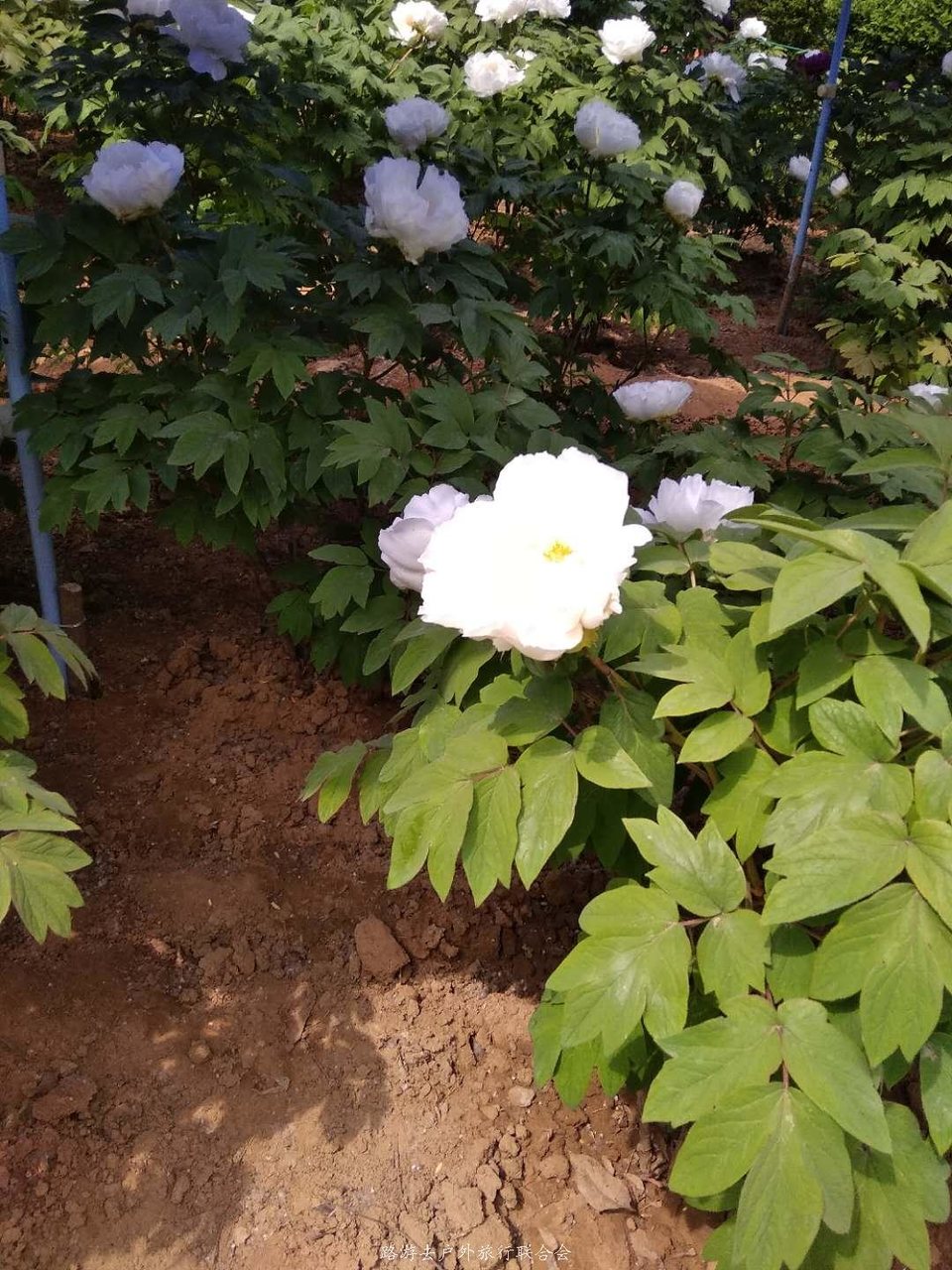 QJX3JlQzJFbxxHobNaJMo0nQkd40KbnKnWwx3qp3nlLOxQbRPHpkaZfXClnNoaXk