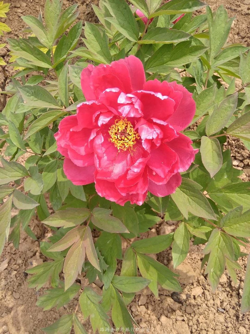 poluKSE4qhFoFh9AkzwSvpmQhcEsvYZiRT5u6-F-V-4XENcskY-5CE6Hoiwjw0Fp