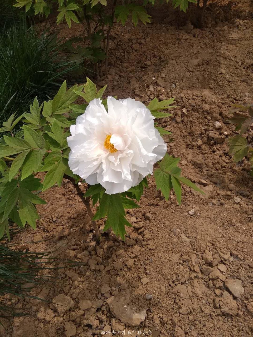 hD1cp-c98AlTNSuw28lvAsVpc3txKRAyJOPfl-YeGD5HkfRCXJ2HdflLW694q7V_