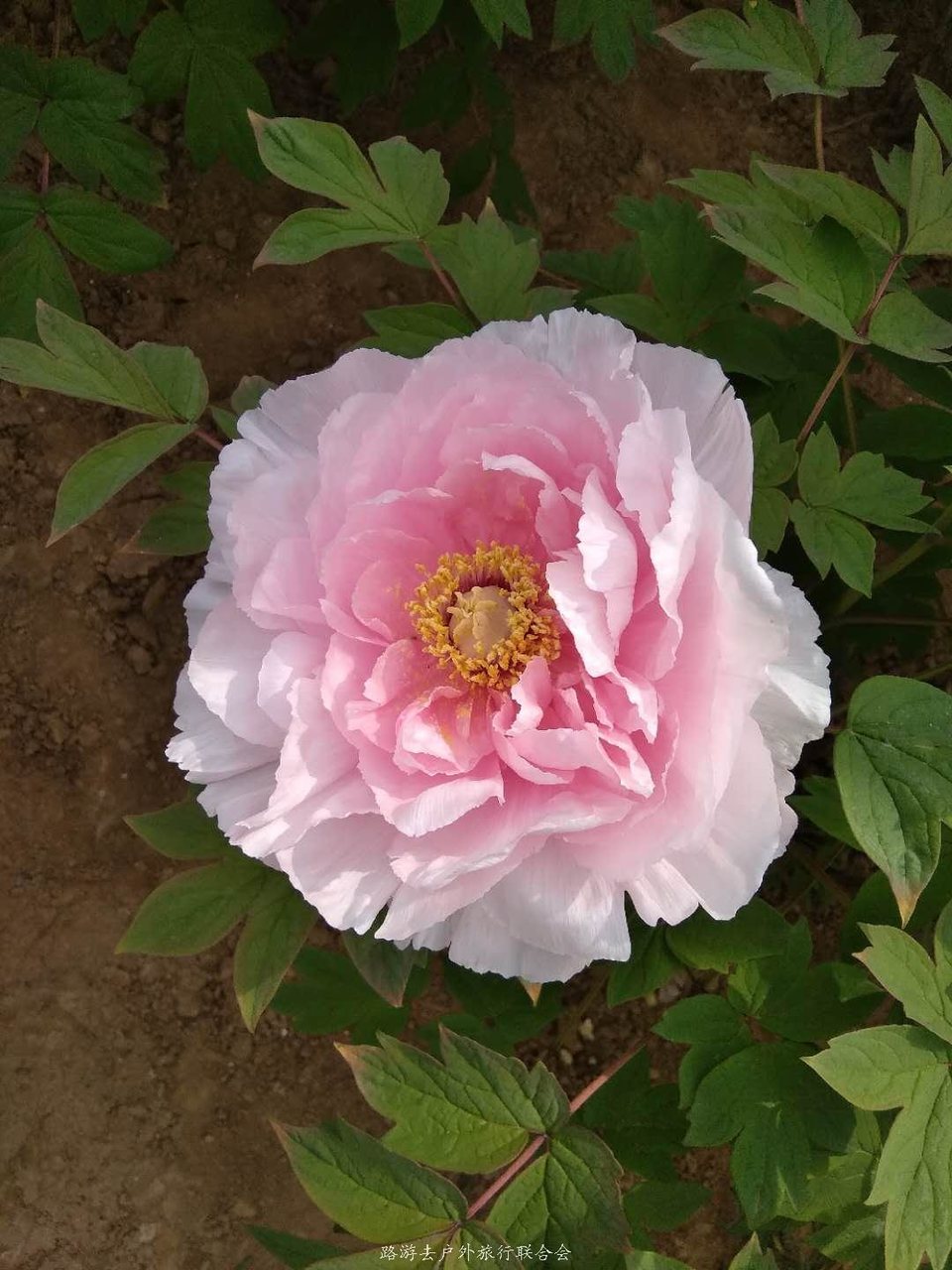 BwbM1eDe3tYOw0iatEVSZ33yc_2nMOPFfIRlkX44FAyMaLILHN3gtdzVJBv53zNX