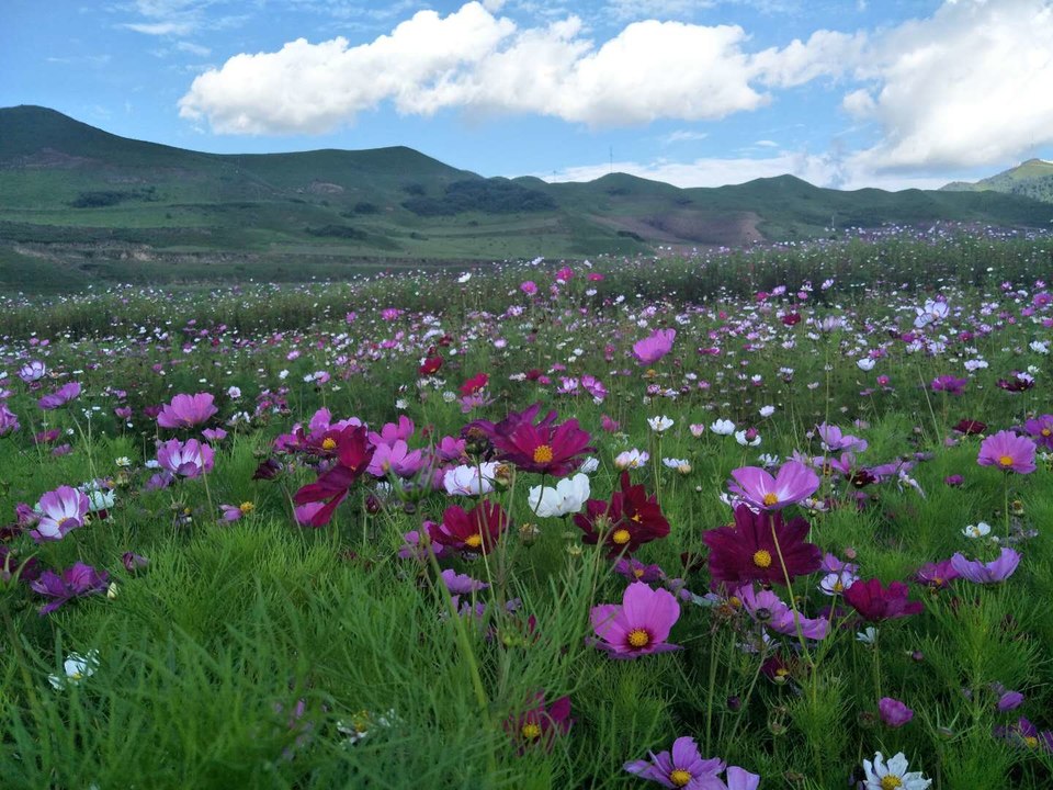 id3IiXHL-C7OP0IDkIvR--z33z6A8Fe4oryZkXHAKhaSuhKtwNdC_kjQDzExe3xY