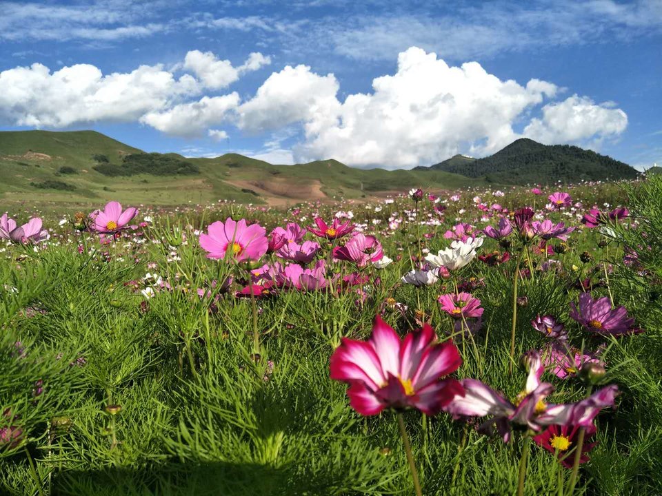 1yAQ9dPMau0DhCxvNrzU84Rvwhu03IQTeMyyfF701bn3e4cR66vF9L45isOHl8bp