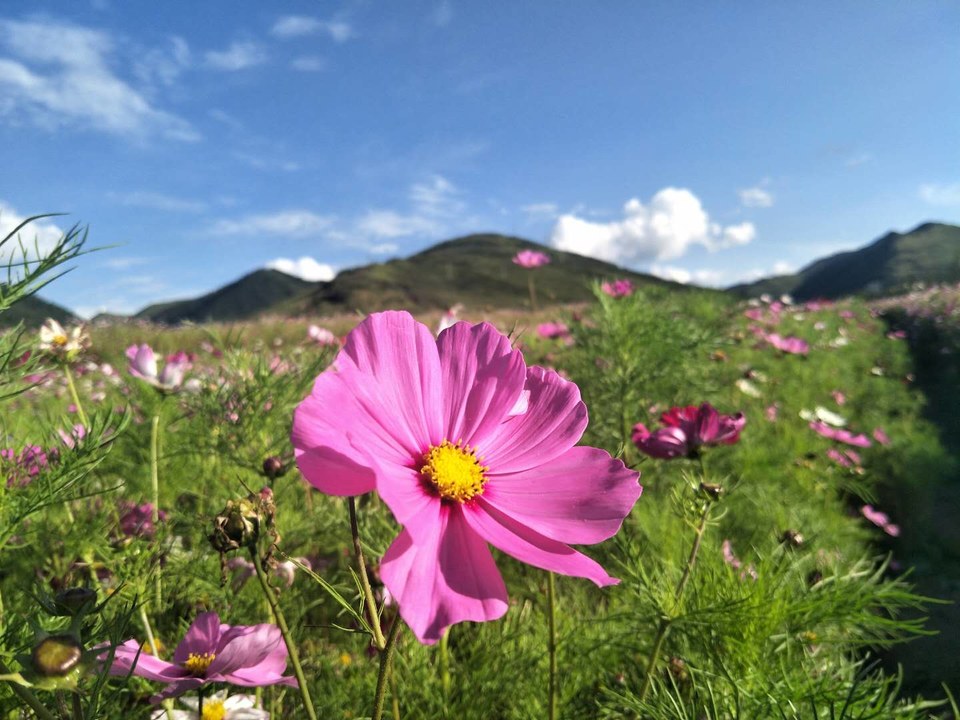 E3PpbkALCYooioF9txoL7bQR54FNzxXEtXJx3-lOv-NIw7piz4G1uS0O41LZe0CH