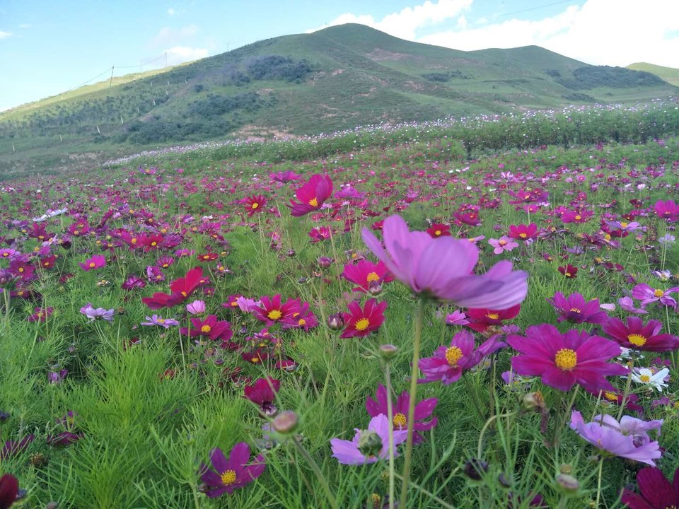 hjFB-ZxiMT7Cr3iOS0lPQpc7yWK9YzMedlWIE-0FkzmYyRfKGHQ7AsIBfRrVXeey