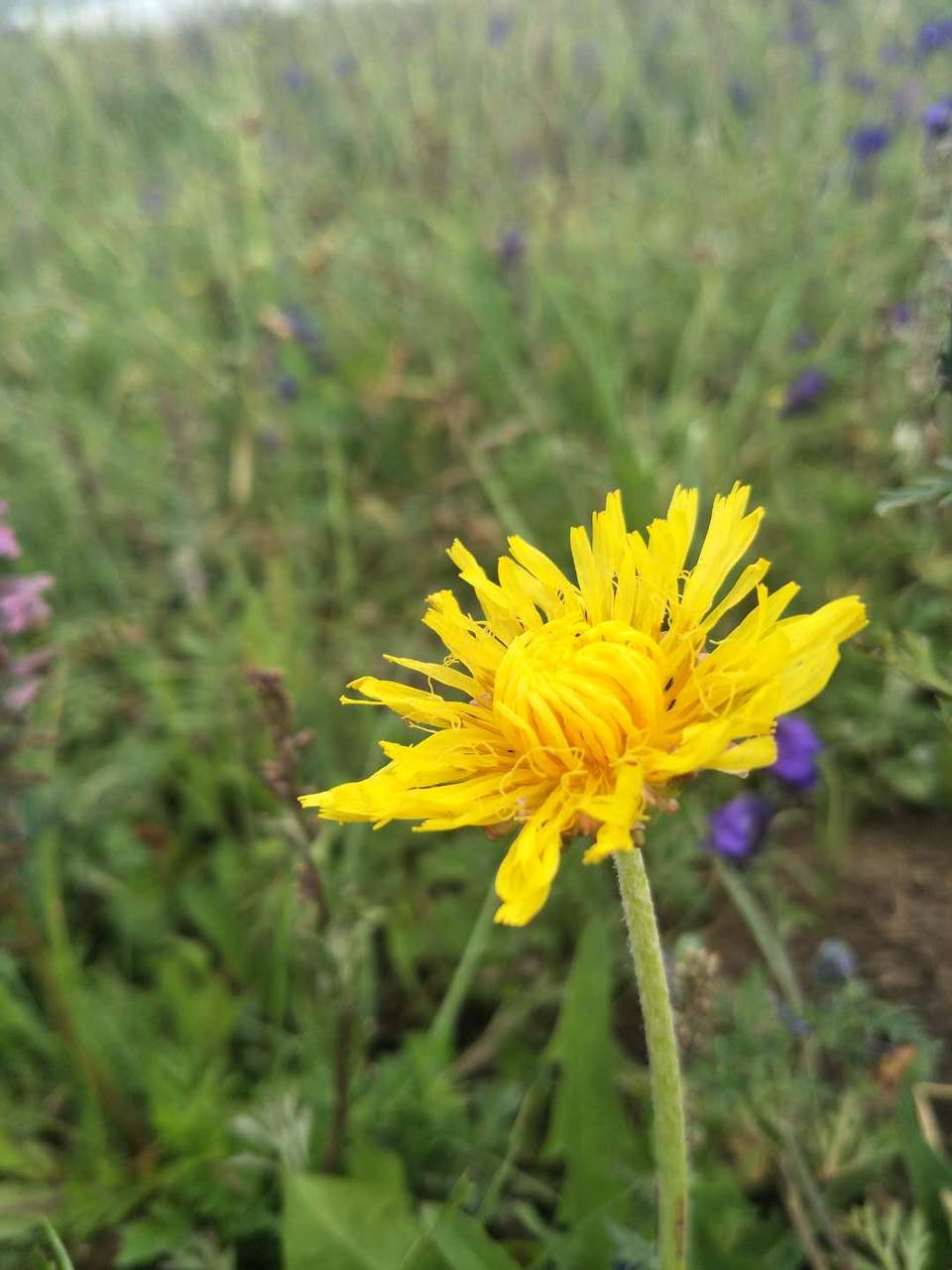 _XQXH0Cv1n66rP4BbVoSs5I0jmN7Ji2rfE4_SjhkBI90geARyeLBJG14sd9DMp_W