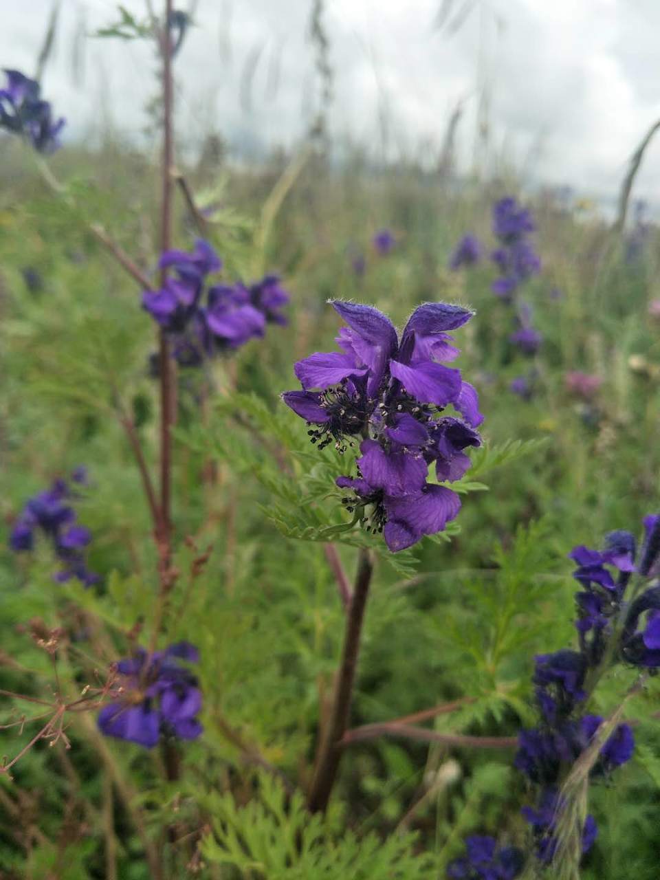 eIrBdj4cPML-8HzVgJ2l--6-D-wlIPm1izmrfwuEx1qpxtXAh16VqbdGpiwfrUad