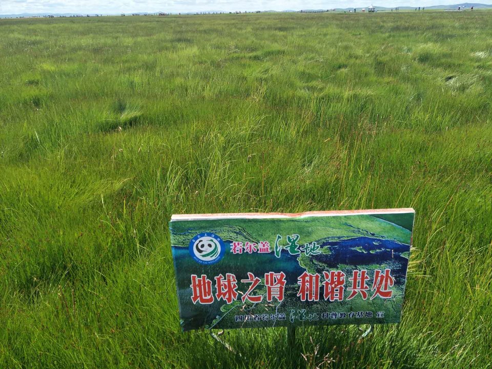 t34NN3W8Nu1Sy2riwMnBYA-ZR3SXDvbMa0gIFXZ__AO3PYevFrC71mzW5J5dW7Ix