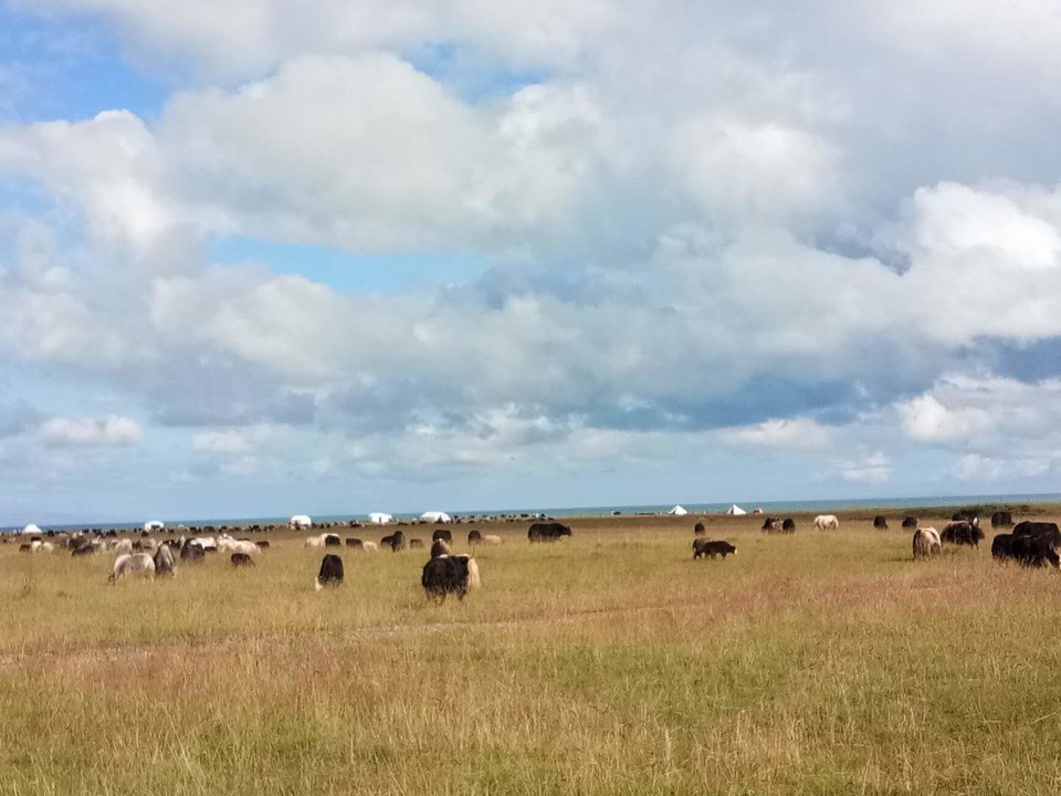 9LvIx2aSqRdMBWXRvmlldsITYT0B91bPf6ZWljYgZaX9WvWlpkXXVqDzTm27ygyT