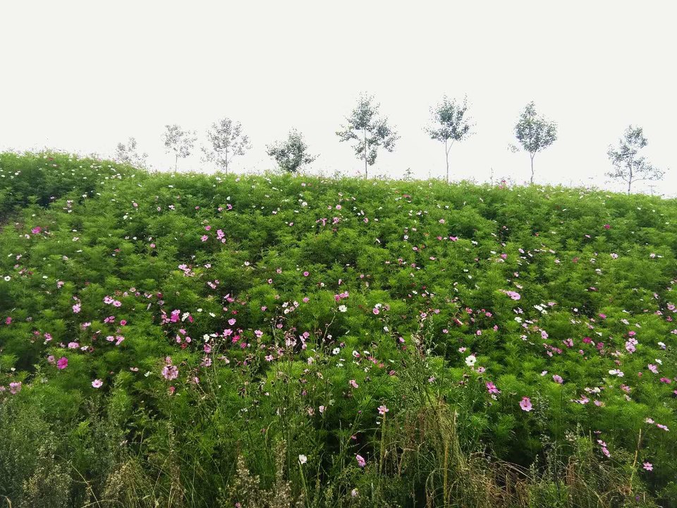 gfO-4fQOPzvK8Og50dhcHx8kBRjzqu2EA_mmSbq0aTOR3G56BVQt9tT9IG3uelxM