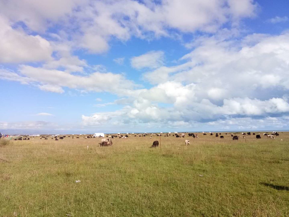 yKLET0Tz8gnQPevcZnt7pOXCOc5ZxRk2c7eAjsxMTS3HSDmkI8BzI7rMY6HCrAoS