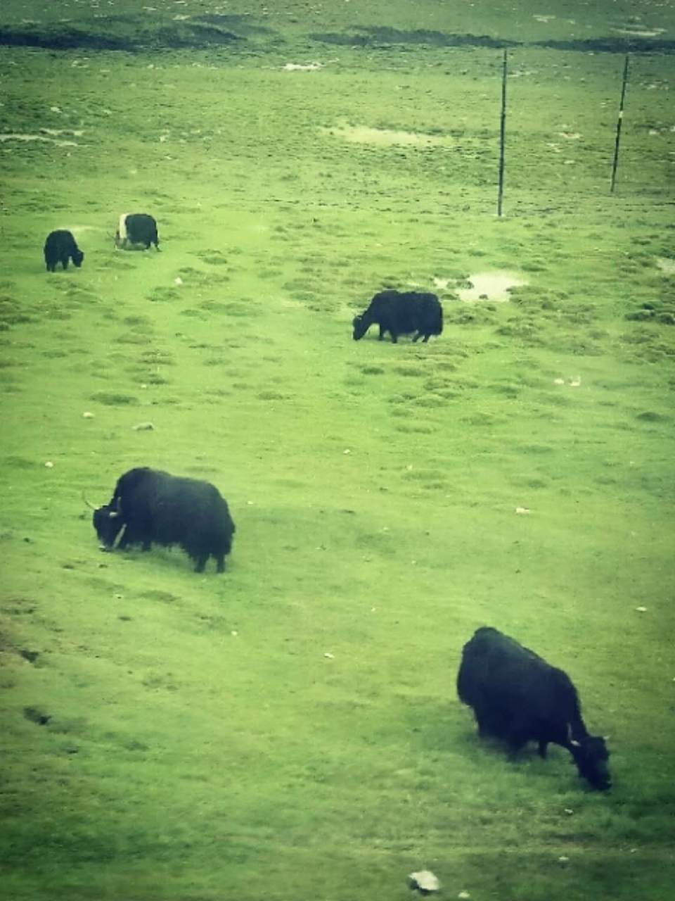 7WrjS8wHHGkdhj09xdwBfro3m5Sa4N7Bxs07f_W9wjM2Edqu-M-7awn1mMya6RGN