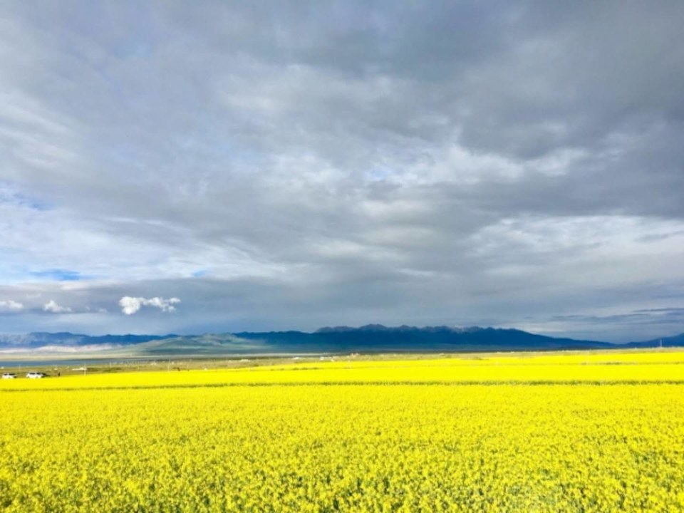 mP6ohf8ifC0KKEfj9HnMP8Fjiy2k0vBLPBeiBppVhZ0v1c5C5mI7PdD3AOrcQbWg