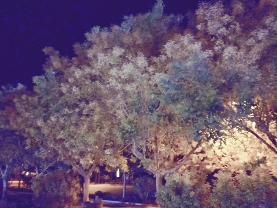 Q1ewRLJEK-9h-745yDt2DNeSt8wk7oCakbrIwltykKG82S_i5U8zhSlWoj4vNm-3