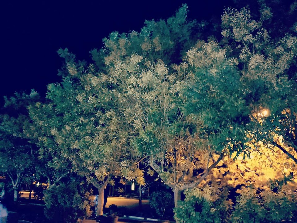 hc-TeT1EmSQzMRin8sTIwe0Lz1bMK66U_V4RlGND1sBoSU7kzy3KboNf_HzZDfyc