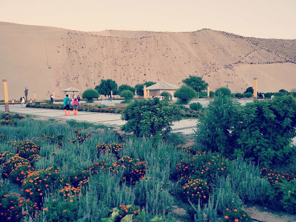 _i66m18wn8K5yK6m-pCF44912FG17Fo1XdNaWwm0f3vxfMAmSYFqIxIcx4pg8YEx