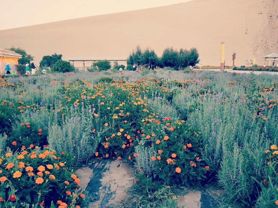 MaIqc0dwchmhKlunpwHWnb6ybWhGWOeFI21kC2ySCEDTNJHtd47eHgrcu3NtZbVW