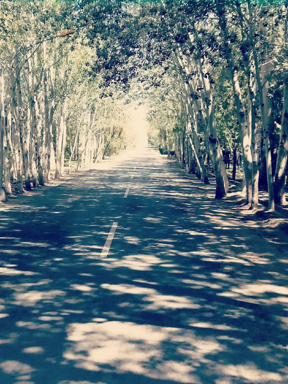 vApJ1eOn36IgC9snoZ5WDw_GJ8gnu-_TjgzOE9IMtGRcZ3zmpkwyZE6Ax4vp-JZR