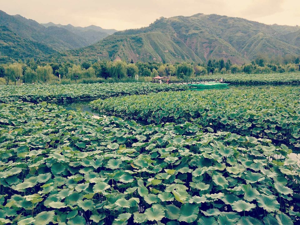 su4Ilm2XlTcj93tjbeaCVTr_x0nHilhWhwtm-gBdzCPRAuF-lHajUDqzp6WglI-n