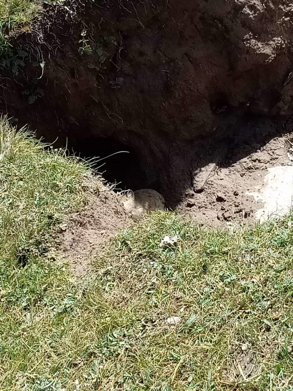 JSW-8Pjw8BLcaM_8PKbTKNSdzDkUQrkrWRpmB8m8DWmWFZ6PMB8IdKO98YW-1Ess