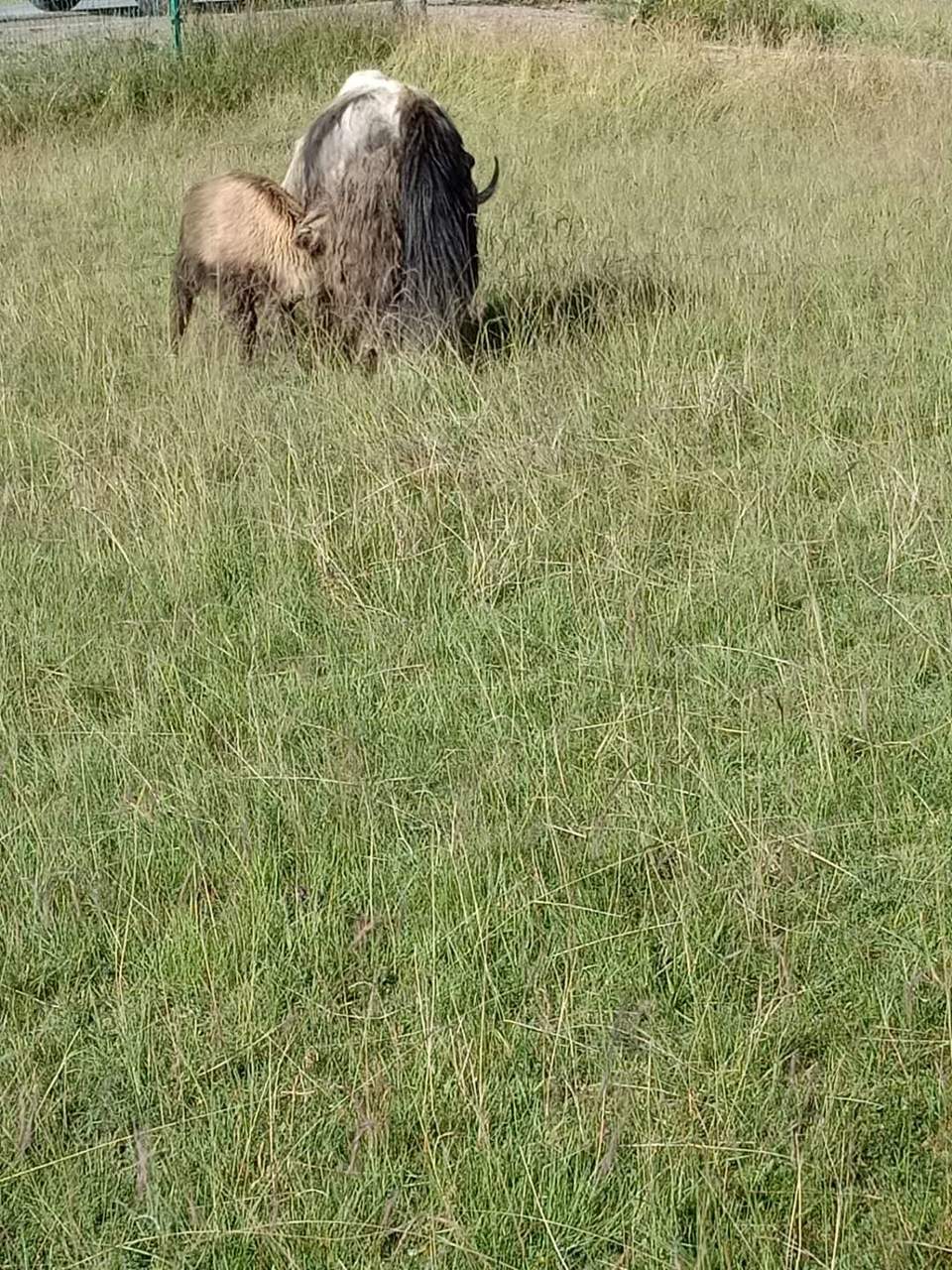 FryPG6JArDJ47WkDfh1RPLXNfxSj1x-aPervWd8rVORko3lzVt_zQf8SUfCN-tcJ