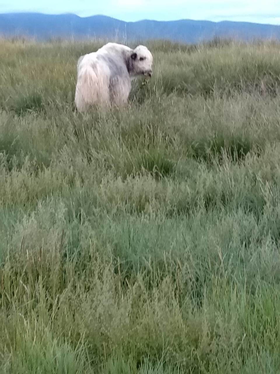 lGSKlxGLZjAzeoasWoOFQ-N6Xw_yrPujNVwV6HMvfLi2CfLkGFdECpT4AtKpaS1z